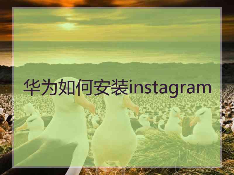 华为如何安装instagram