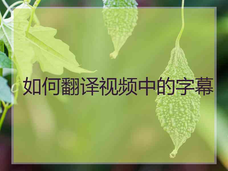 如何翻译视频中的字幕