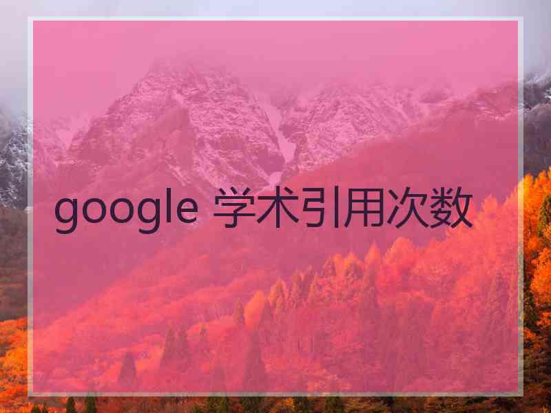 google 学术引用次数