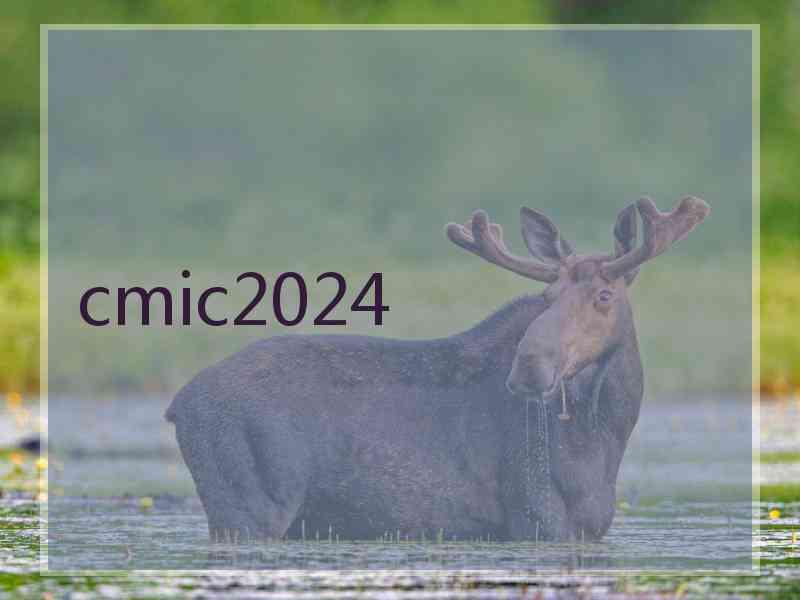 cmic2024