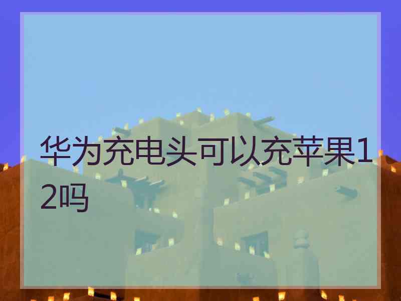 华为充电头可以充苹果12吗