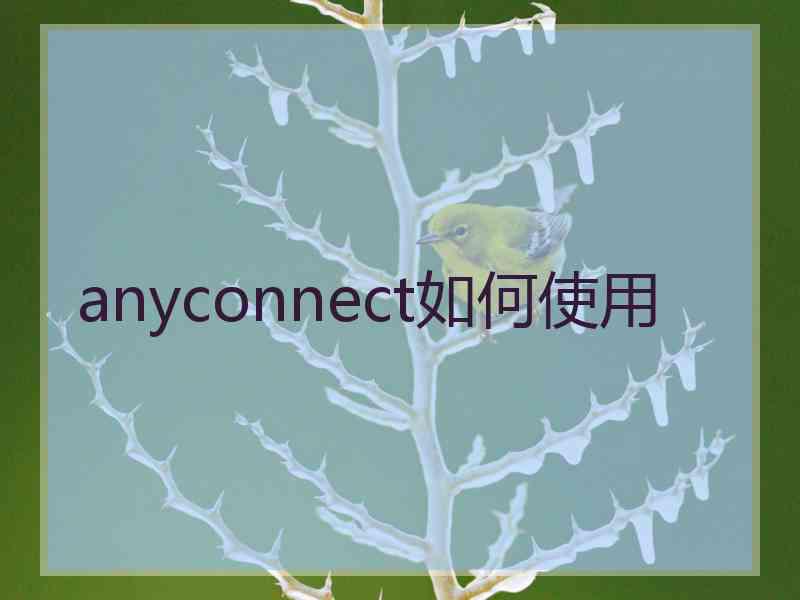 anyconnect如何使用