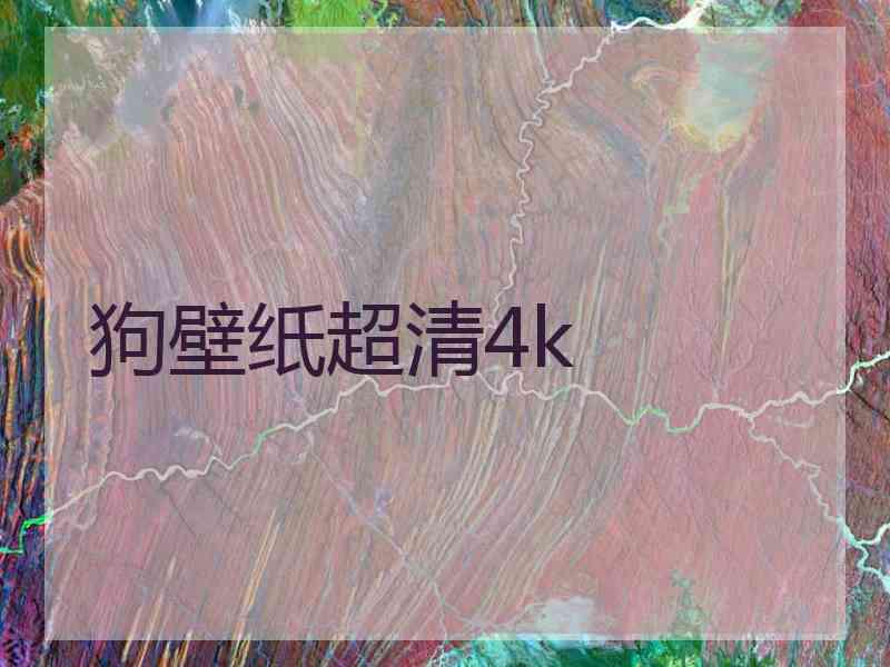 狗壁纸超清4k