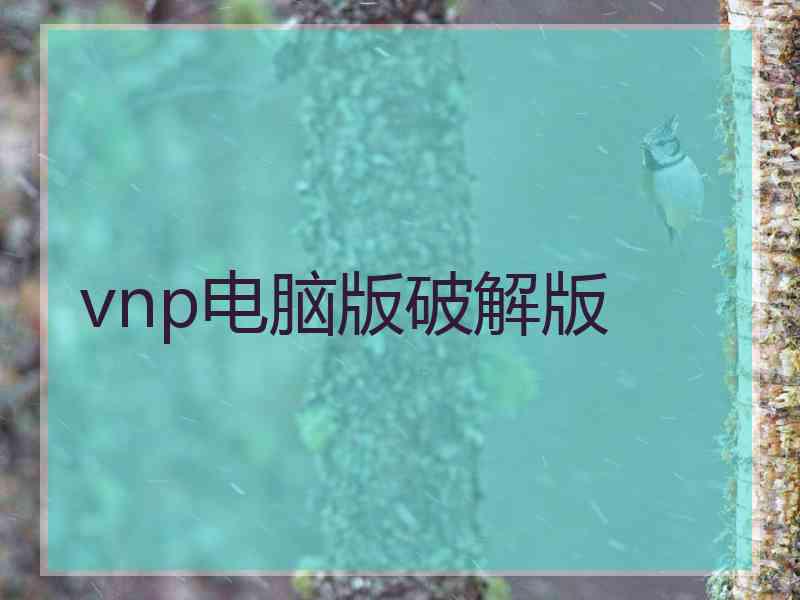 vnp电脑版破解版