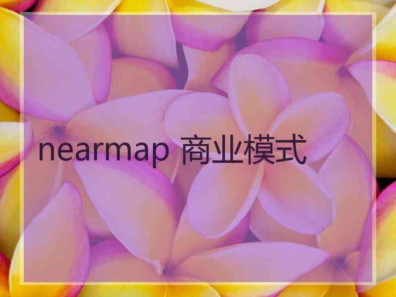 nearmap 商业模式