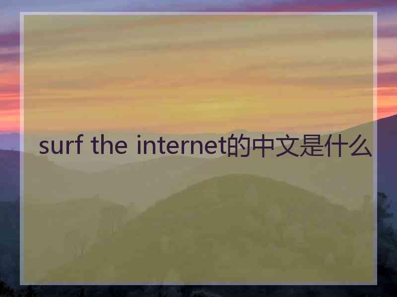 surf the internet的中文是什么