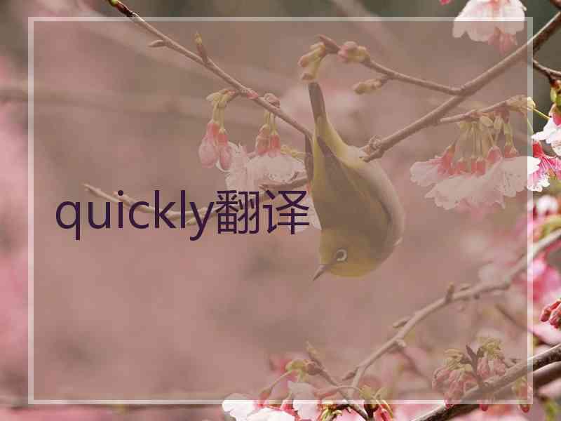 quickly翻译