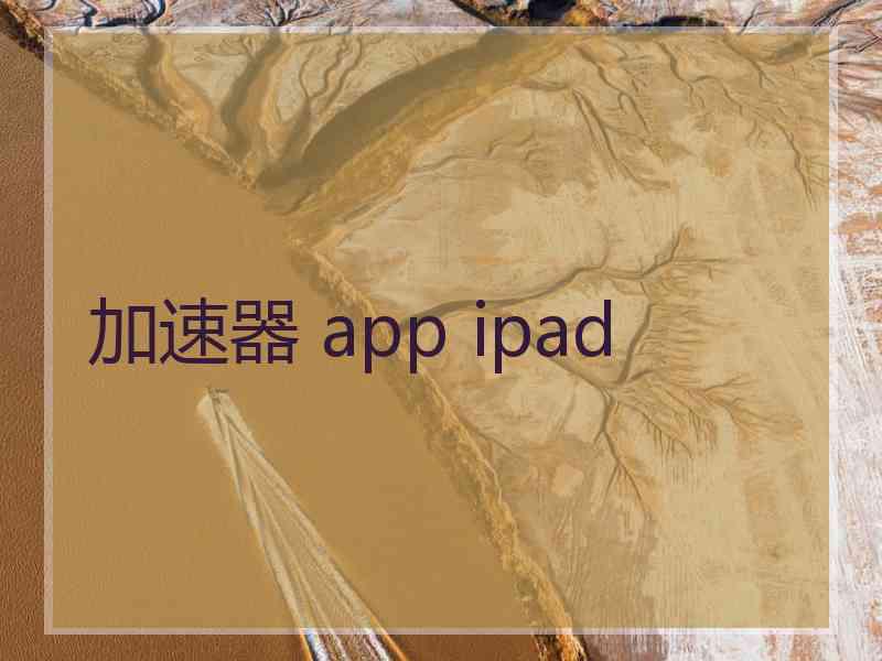 加速器 app ipad