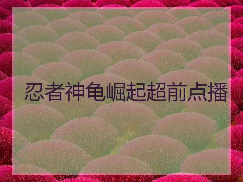 忍者神龟崛起超前点播