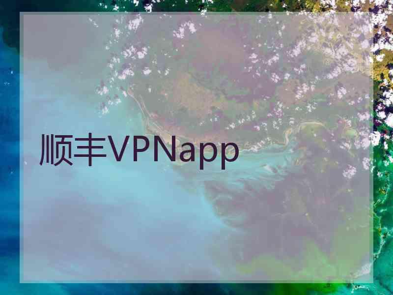 顺丰VPNapp