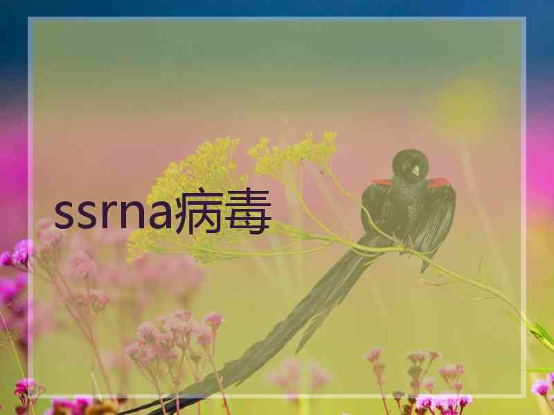 ssrna病毒