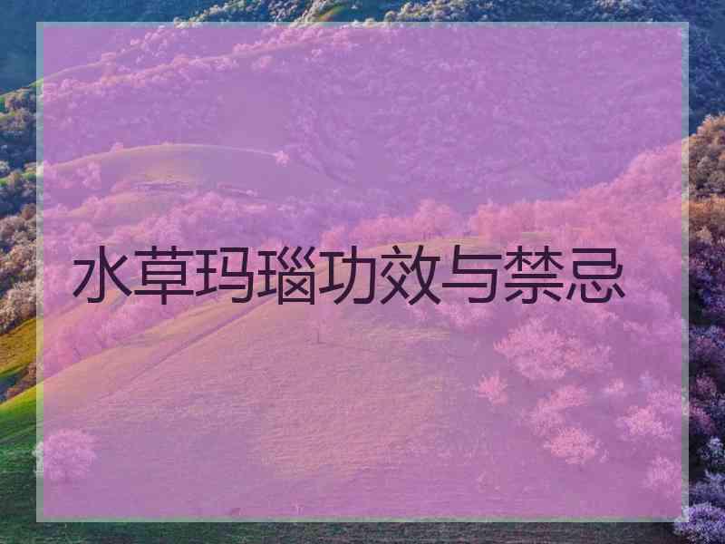 水草玛瑙功效与禁忌