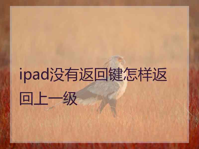 ipad没有返回键怎样返回上一级