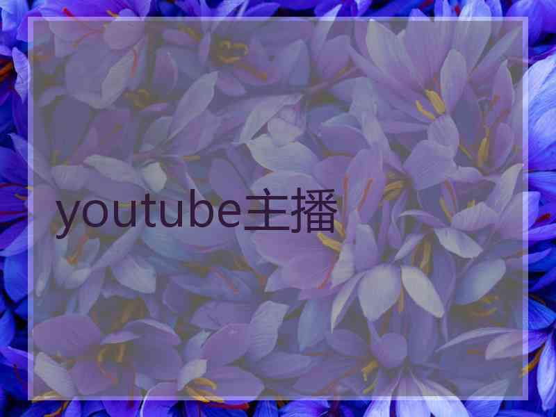 youtube主播