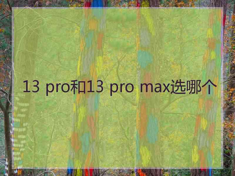 13 pro和13 pro max选哪个