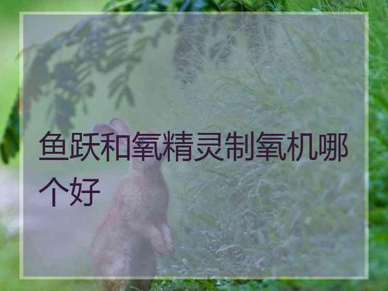 鱼跃和氧精灵制氧机哪个好