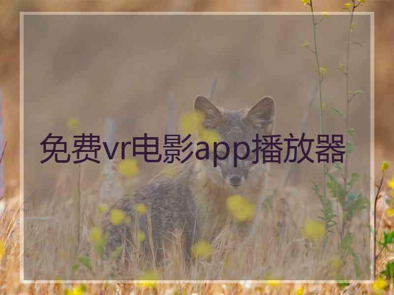 免费vr电影app播放器