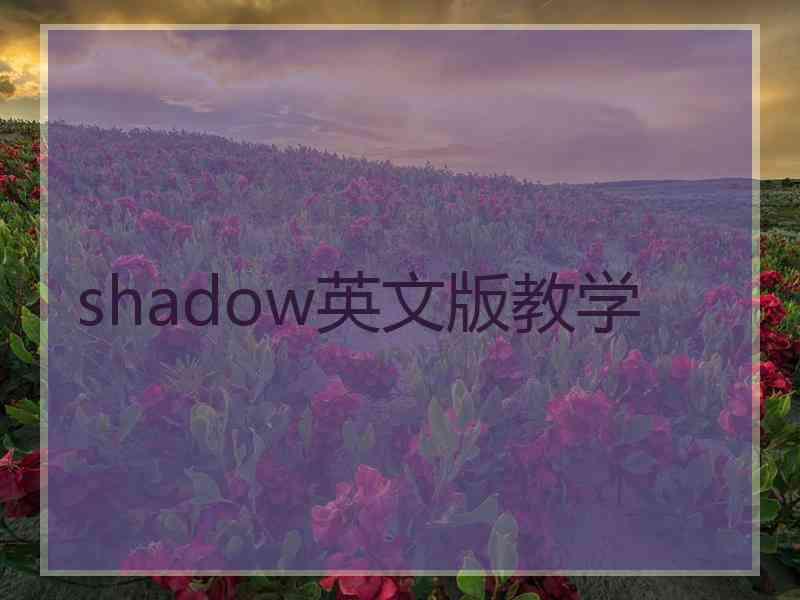 shadow英文版教学