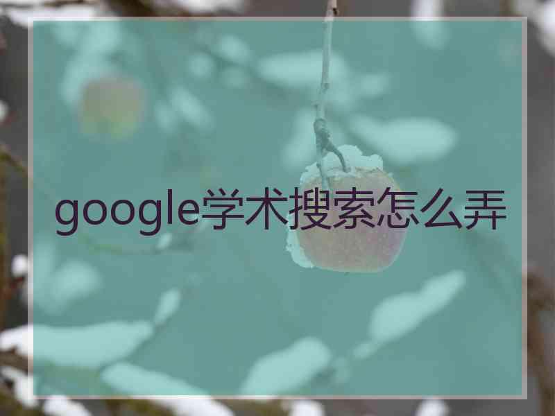 google学术搜索怎么弄