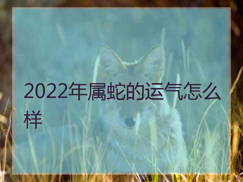 2022年属蛇的运气怎么样