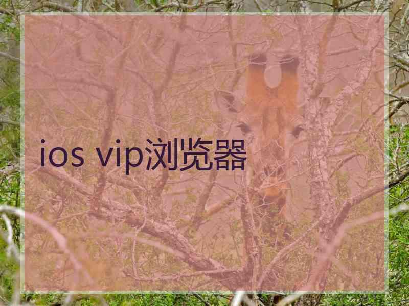 ios vip浏览器