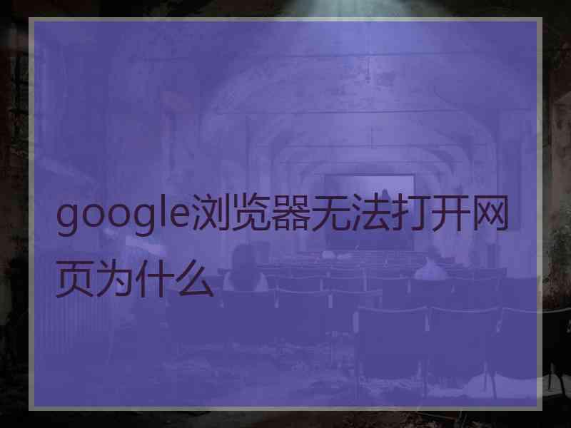 google浏览器无法打开网页为什么