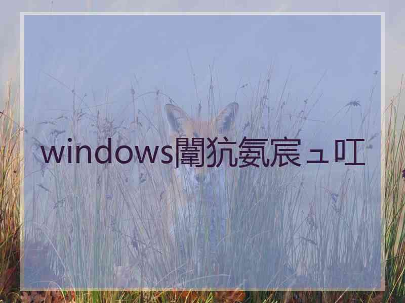 windows闈犺氨宸ュ叿