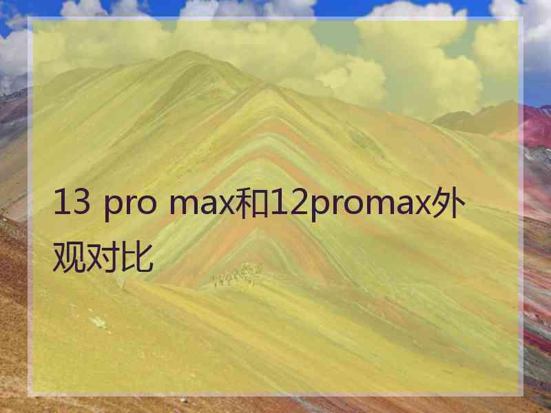 13 pro max和12promax外观对比