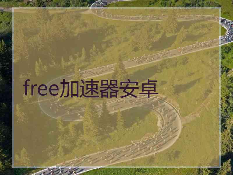 free加速器安卓