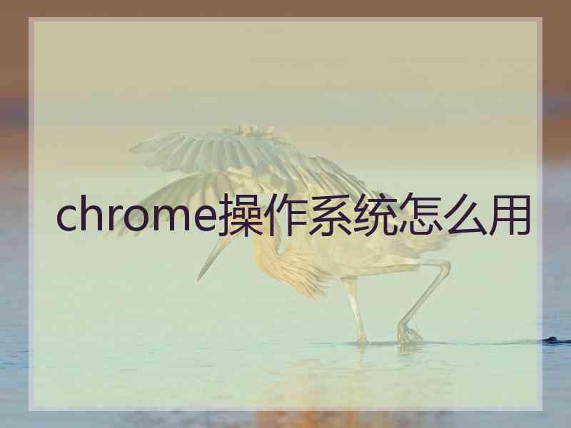 chrome操作系统怎么用