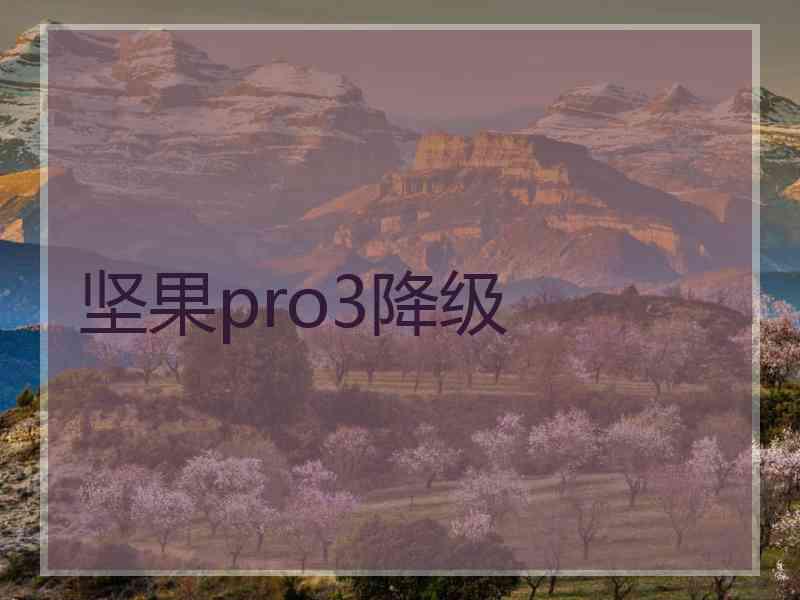 坚果pro3降级