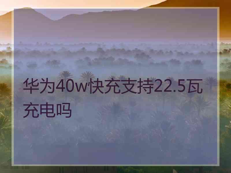 华为40w快充支持22.5瓦充电吗