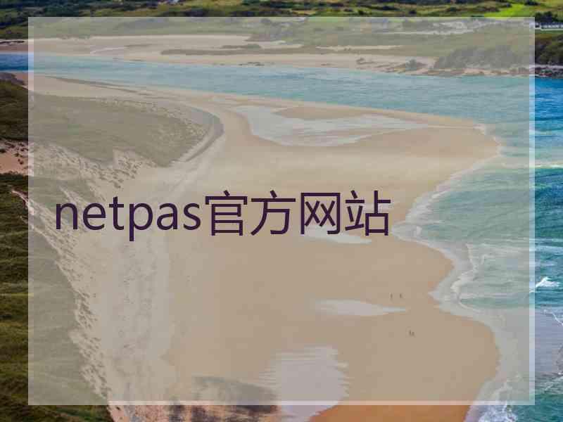 netpas官方网站