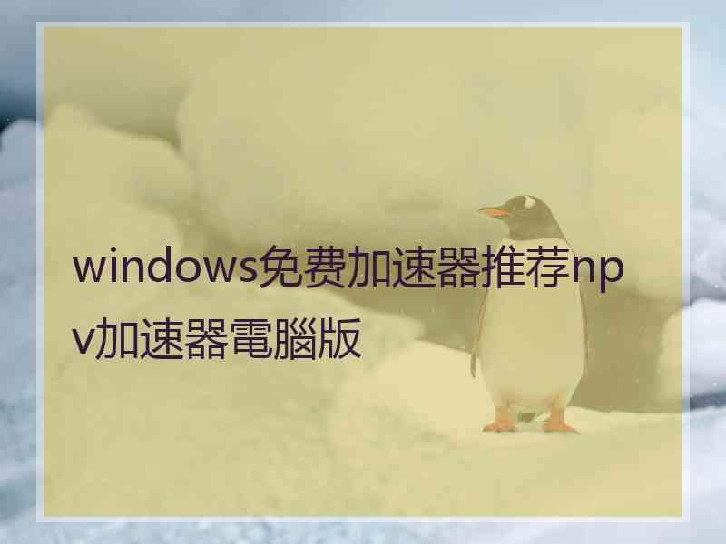 windows免费加速器推荐npv加速器電腦版