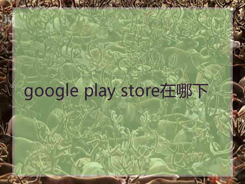 google play store在哪下