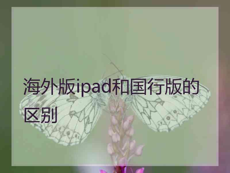 海外版ipad和国行版的区别