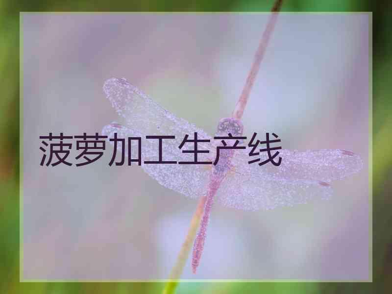 菠萝加工生产线