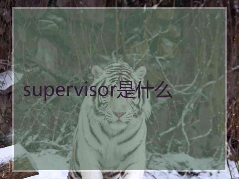 supervisor是什么