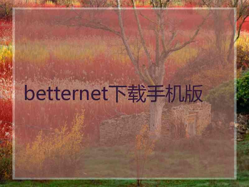 betternet下载手机版
