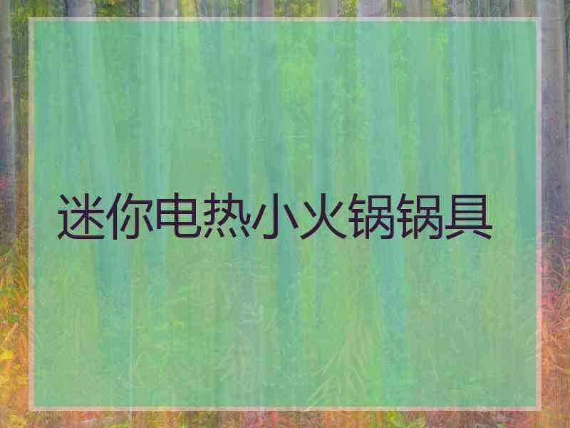 迷你电热小火锅锅具