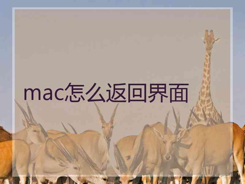 mac怎么返回界面