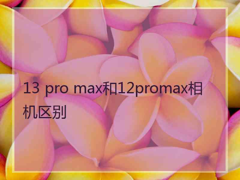 13 pro max和12promax相机区别