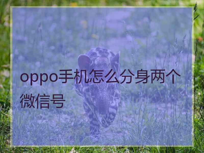 oppo手机怎么分身两个微信号