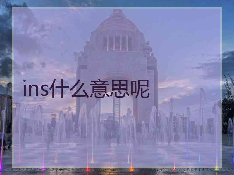 ins什么意思呢