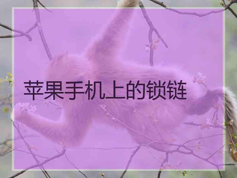 苹果手机上的锁链