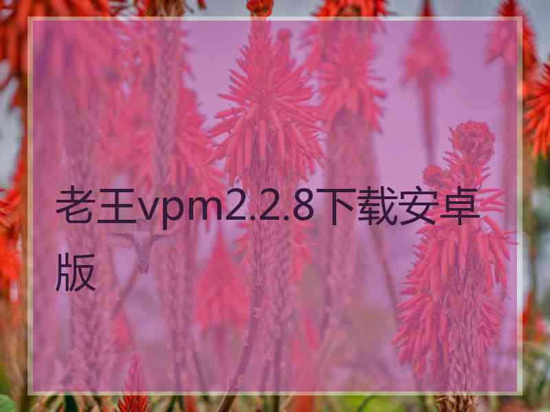 老王vpm2.2.8下载安卓版