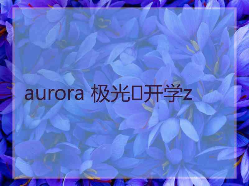 aurora 极光✨开学z