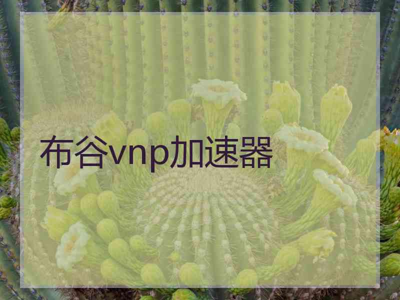 布谷vnp加速器