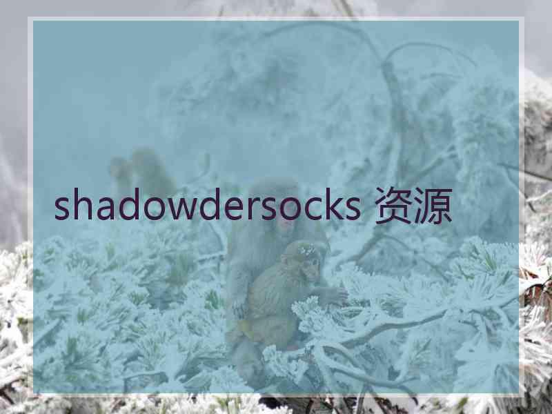 shadowdersocks 资源