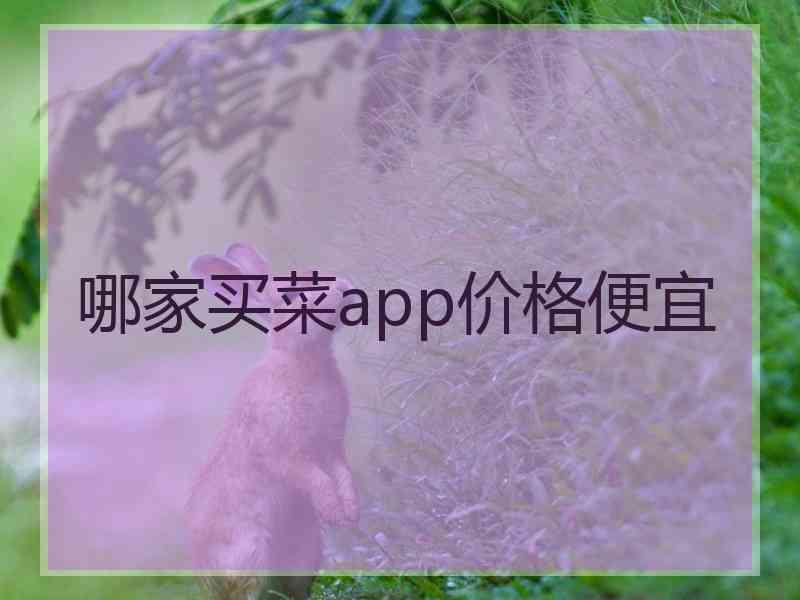 哪家买菜app价格便宜